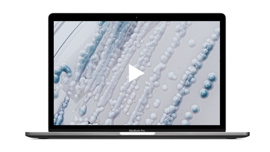 decoderm tri thumbnail v2